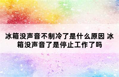 冰箱没声音不制冷了是什么原因 冰箱没声音了是停止工作了吗